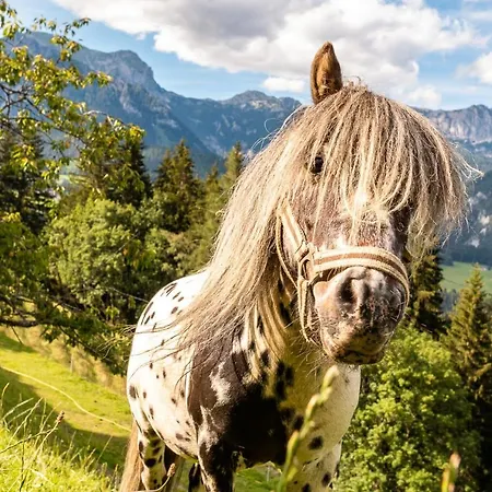 ブッフェガホフ