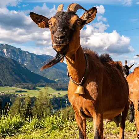 ブッフェガホフ シュラートミンク