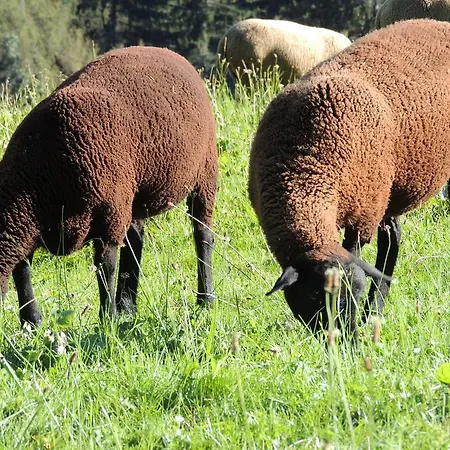 ブッフェガホフ シュラートミンク